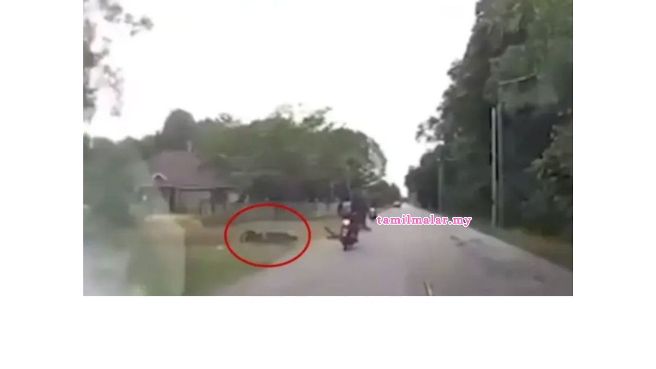 top-news
